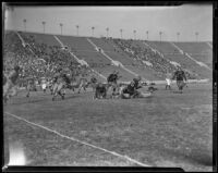 U.C.L.A. Bruins play Oregon State Beavers at Coliseum, Los Angeles, 1938