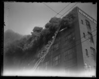 Close view of fire fighters on ladder hauling hose and fighting flames at Newmark Bros. building in Los Angeles, Calif., 1928