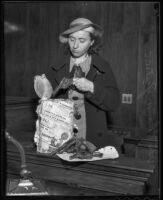 Mrs. Eleanor Quinn discovered smuggled guns buried in her backyard, Los Angeles, 1936