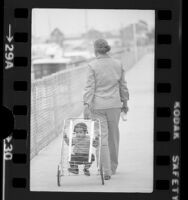 Toddler Chekesha Van Putten riding in cart pulled by her grandmother Romaine Lyons in Marina del Rey, Calif., 1975