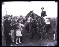 Race horse Golden Prince being adorned with flowers after a victory, Tijuana (Baja California, Mexico), 1929