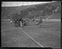 U.C.L.A. Bruins play Oregon State Beavers at Coliseum, Los Angeles, 1938