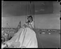 Pandora, the Mildura's cat, walks along the main mast, Newport Beach, 1938-1939