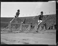 USC and Stanford runners approach hurdles at the Coliseum, Los Angeles, 1932