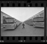 New bus fleet of the Southern California Rapid Transit District, 1971