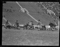 U.C.L.A. Bruins play Oregon State Beavers at Coliseum, Los Angeles, 1938