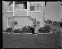 Minnie Kennedy, mother of Aimee Semple McPherson, mowing a lawn, Los Angeles, 1920-1930