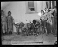 Boys washing their feet in a back porch sink at the Lark Ellen Home for Boys, Sawtelle (Los Angeles), 1924