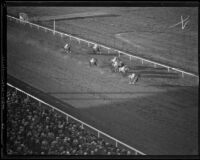 Horses racing at Santa Anita Park the month it opened, Arcadia, 1934