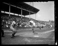 Jim Baxes batting during Hollywood Stars vs San Francisco Seals game, 1950