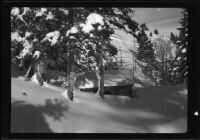 Cabin buried by snow, June Lake, 1938