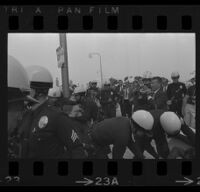 Police grab protesters at Century Plaza during President Johnson's visit as journalists watch. 1967