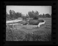 La Brea Tar Pits, Los Angeles, 1936