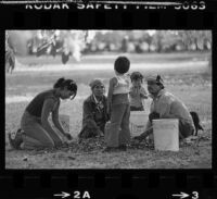 Mexican American family picks walnuts in Gilroy (Calif.)