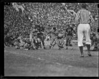 U.C.L.A. Bruins play Oregon State Beavers at Coliseum, Los Angeles, 1938