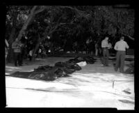 Police and photographers outside of the ruins of Fountain of the World headquarters look at bodies of the victims of the bombing. B. 1958