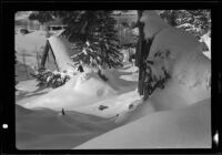 Cabins, one damaged and buried by snow, June Lake, 1938