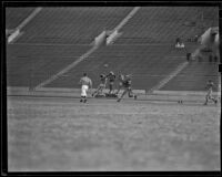 U.C.L.A. Bruins play Oregon State Beavers at Coliseum, Los Angeles, 1938