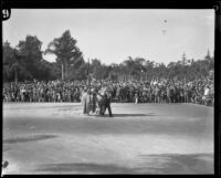 Horse costumed in flowers and a robe at the Tournament of Roses Parade, Pasadena, 1929