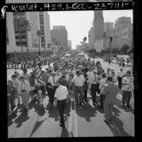 Nobel laureate Linus Pauling leading peace parade down Wilshire Blvd. in Los Angeles, Calif., 1967