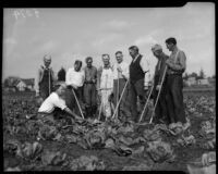 Men pose for a photo after working in a community garden, circa February 1934