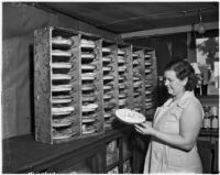 Woman baking pies at a cooperative in Los Angeles, 1930s