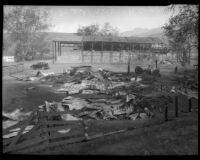 Remains of ranch touched by fire in Malibu, circa October 1935