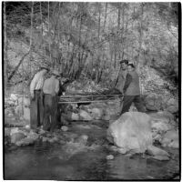 Rescuers carrying David Swaim on a stretcher after he suffered a minor heart attack during a hike in Arroyo Seco Canyon, Los Angeles, December 9, 1946