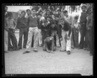 Group of boys watching one boy shoot in a marble game in Los Angeles, 1935