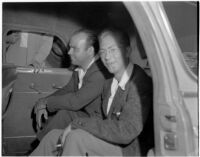 Frank Bincia in the back of a police car after being arrested due to an altercation with John Sullivan, Los Angeles, August 6, 1946