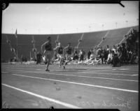 USC and Berkeley track members compete in a 100 yard race at Memorial Coliseum, Los Angeles, 1935