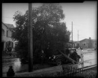 Men pose with fallen tree on vehicle after flood, Los Angeles, 1934