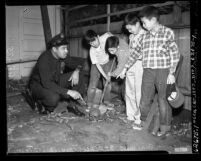 Four boys showing police officer J. H. Scott human skeleton they found in Los Angeles, Calif., circa 1954