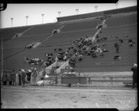 Crowd watches USC versus UCLA rugby game at the Coliseum, Los Angeles, 1935