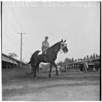 Jockey riding race horse Coast Invasion near the stables at Santa Anita Park, Arcadia, March 9, 1946