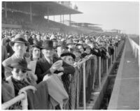 Crowd at Derby Day at the Santa Anita racetrack, February 22, 1937