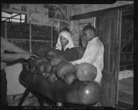 Boxer selects his gloves at an outdoor gymnasium, Los Angeles, 1942