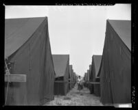 Woman walking between rows of tents at Seventh Day Adventist meeting camp in Lynwood, Calif., 1950