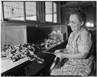 Woman braids fabric at a cooperative in Los Angeles, 1930s