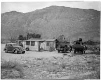 Deserted cabin where Betty Hardaker hid after murdering her daughter, Palm Springs, 1940