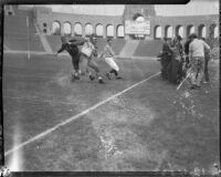 Football game between the UCLA Bruins and the Loyola Marymount Lions at the Colisuem, Los Angeles, circa 1935