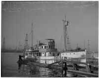 California Dept. of Fish and Game's research ship the N.B. Scofield just returned from a 10 week survey trip, Los Angeles, May 23, 1940