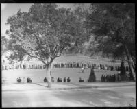 Crowd watches golfers compete at the 12th annual Los Angeles Open golf tournament, Los Angeles, 1937