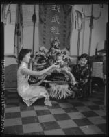 Dragon costume for New Year festivities in Chinatown, Los Angeles (Calif.)