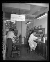 Clifford S. Garner and Sydney Furman working in radioactivity laboratory at UCLA, Calif., circa 1948