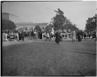 Paddock at the Santa Anita racetrack on Derby Day, February 22, 1937