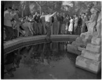 Man jumps into a fountain on USC's campus while a crowd watches, Los Angeles, 1946