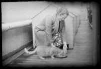 Woman feeding a cat on the S.S. Mariposa, Los Angeles