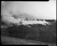 Forest fire, Altadena, California, October 1935