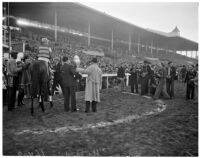 Race horse "He Did" who won the Christmas Handicap on opening day of Santa Anita's fourth horse racing season, Arcadia, December 25, 1937